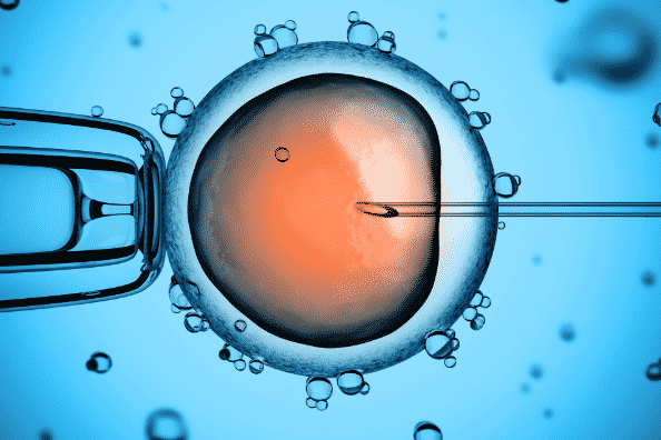 ICSI procedure oocyte and needle